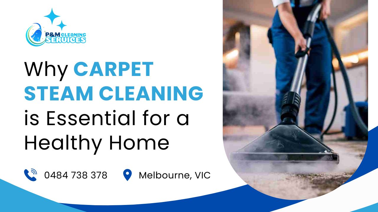 Carpet Steam Cleaning