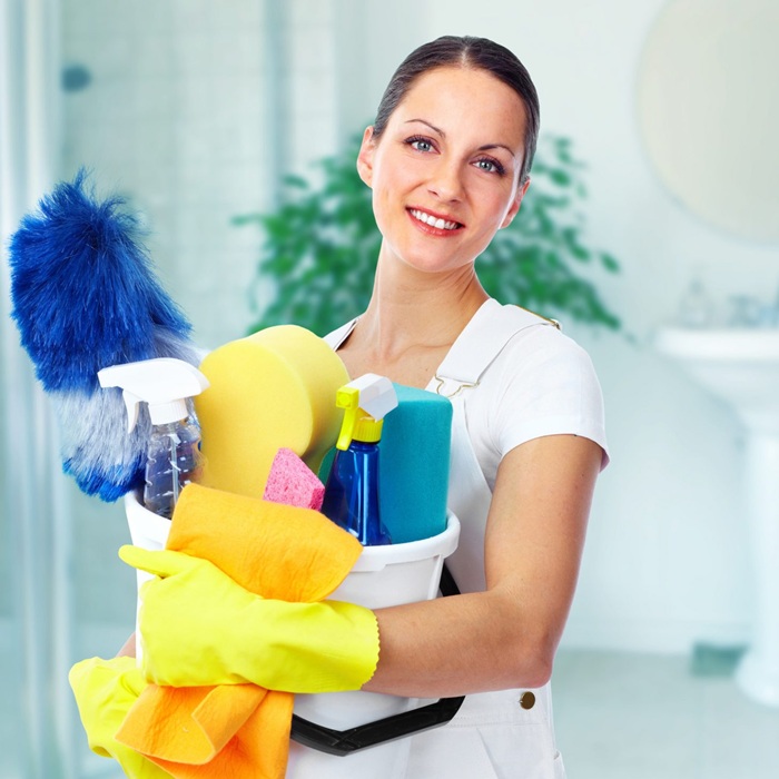 End of Lease Cleaning Flea Treatment Melbourne